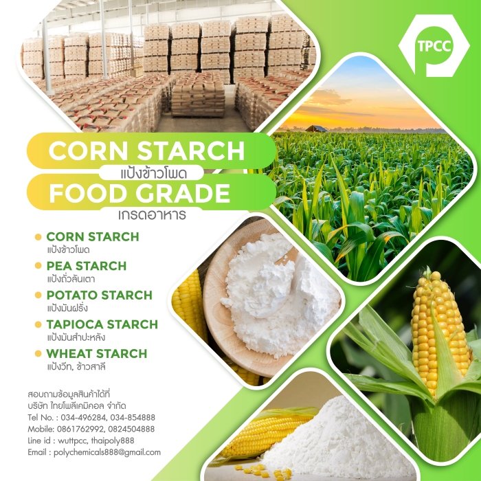 แป้งข้าวโพด, CORN STARCH, เมซสตาร์ช, MAIZE STARCH, คอร์นสตาร์ช, สตาร์ชข้าวโพด